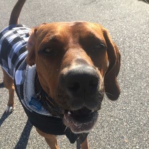 Meet your Posher, Grace